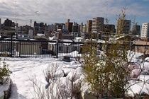 Tokyo Guest House 2020 Ngoại thất bức ảnh